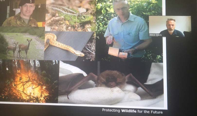 Virtual Rural Week Steve Davis Dorset Wildlife Trust.
