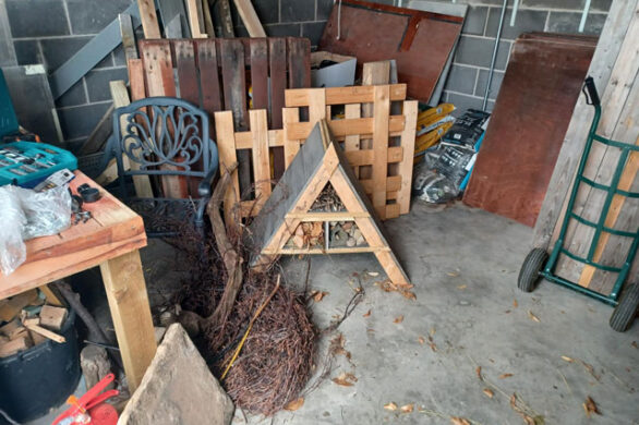 Bug house