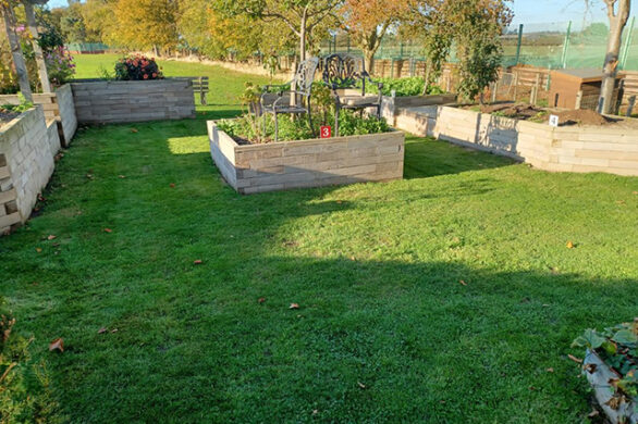Village green