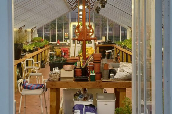 Warm glow of greenhouse